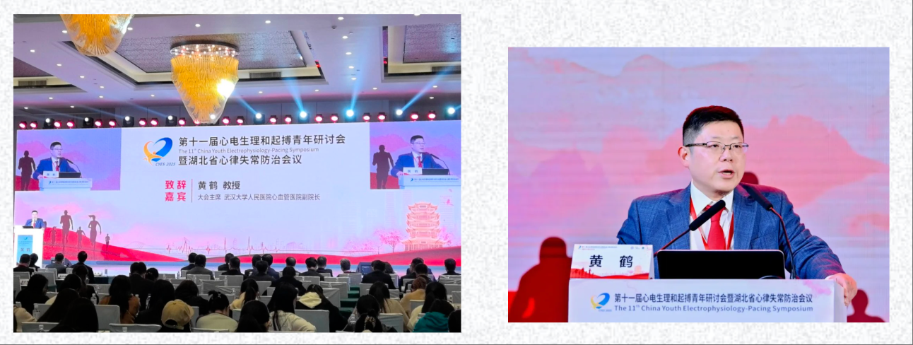 wechat_2025-06-03_142949_435.png
