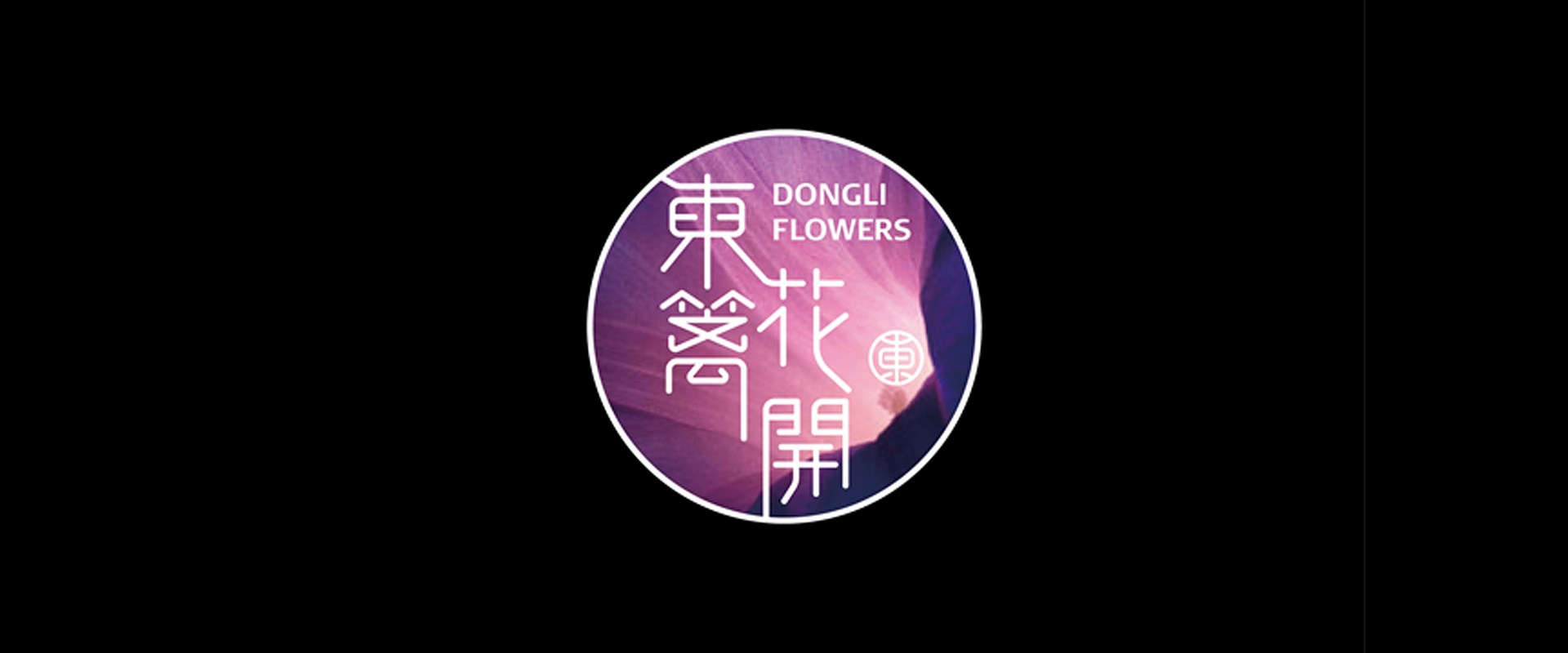 东篱花开-3.jpg