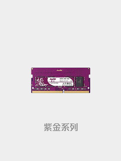 DDR4 紫金系列