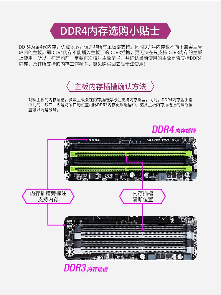 DDR4_750px_11.jpg