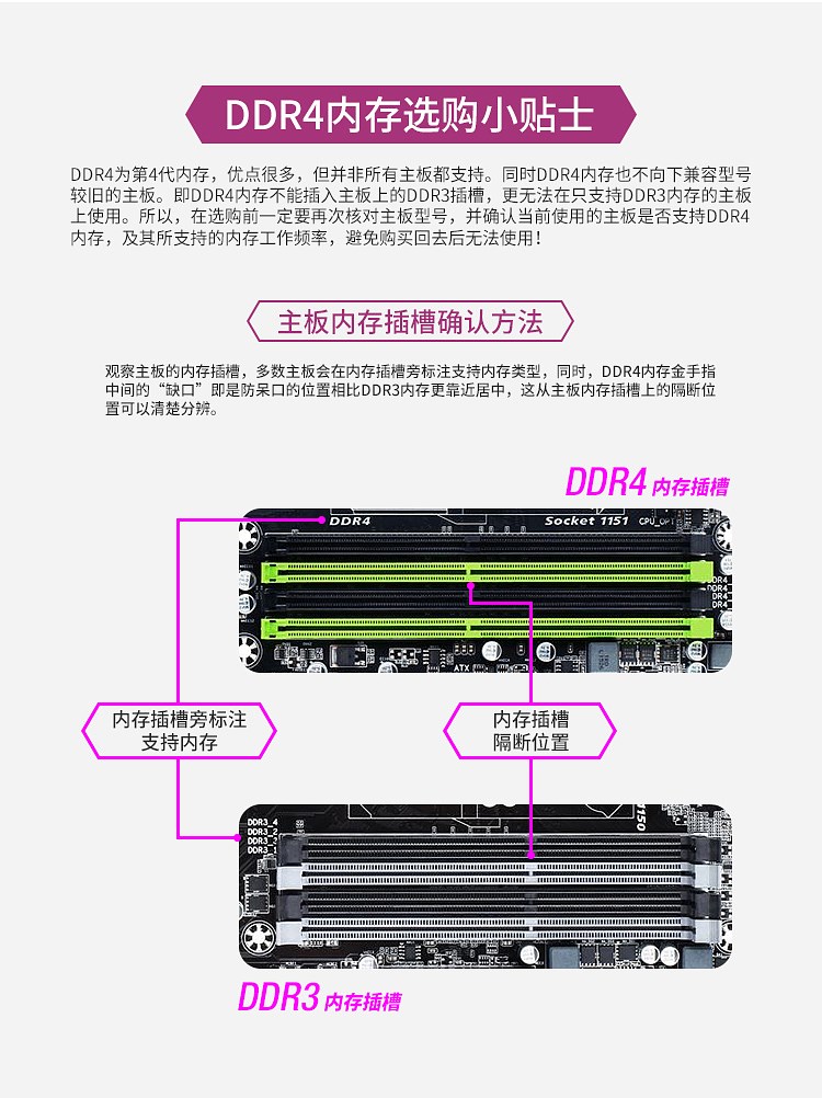 DDR4_马甲_750px_12.jpg