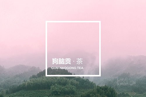 狗脑贡·茶