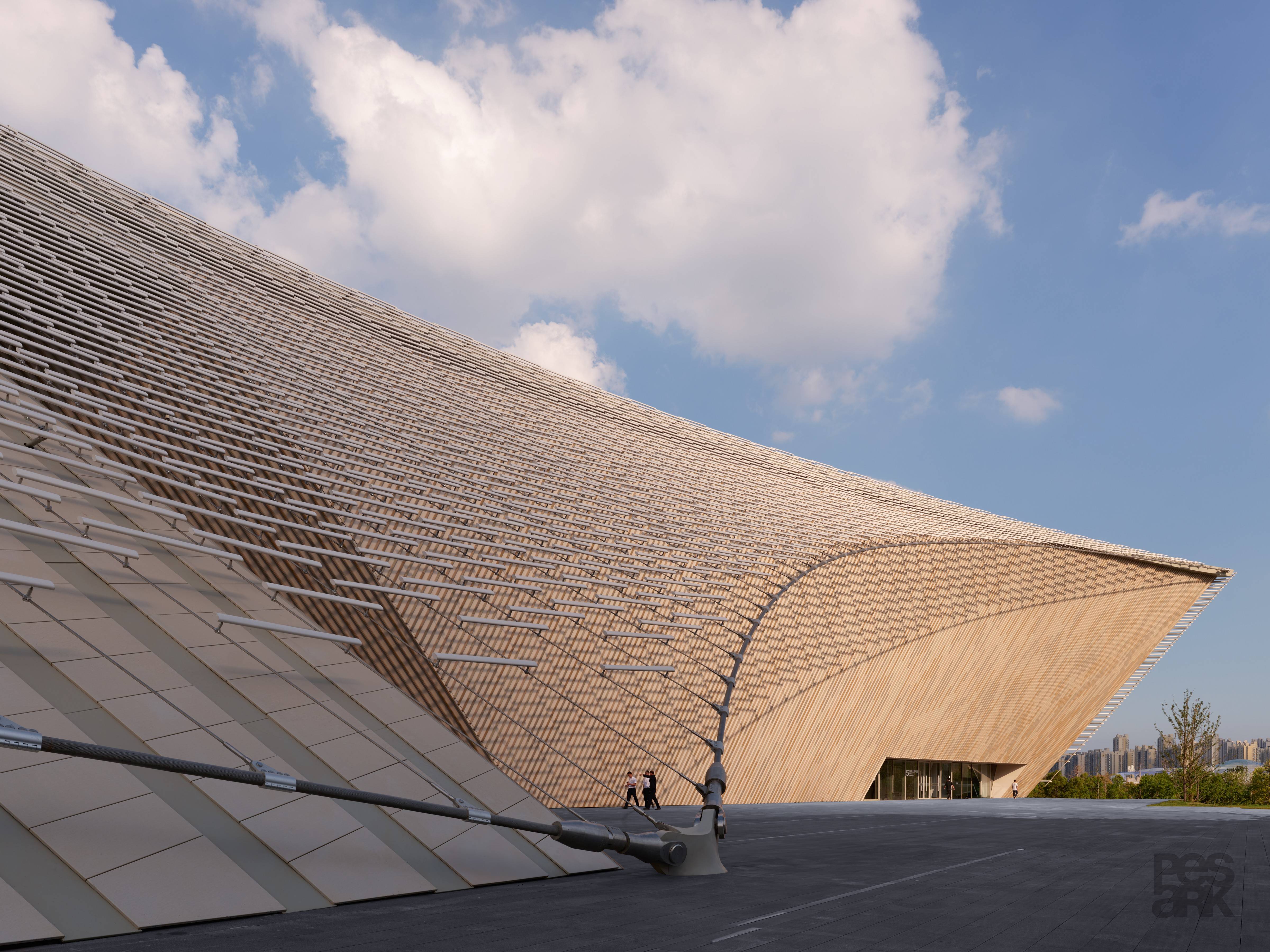 _PES-Nanchang-South facade and main cable of the suspended structure.jpg