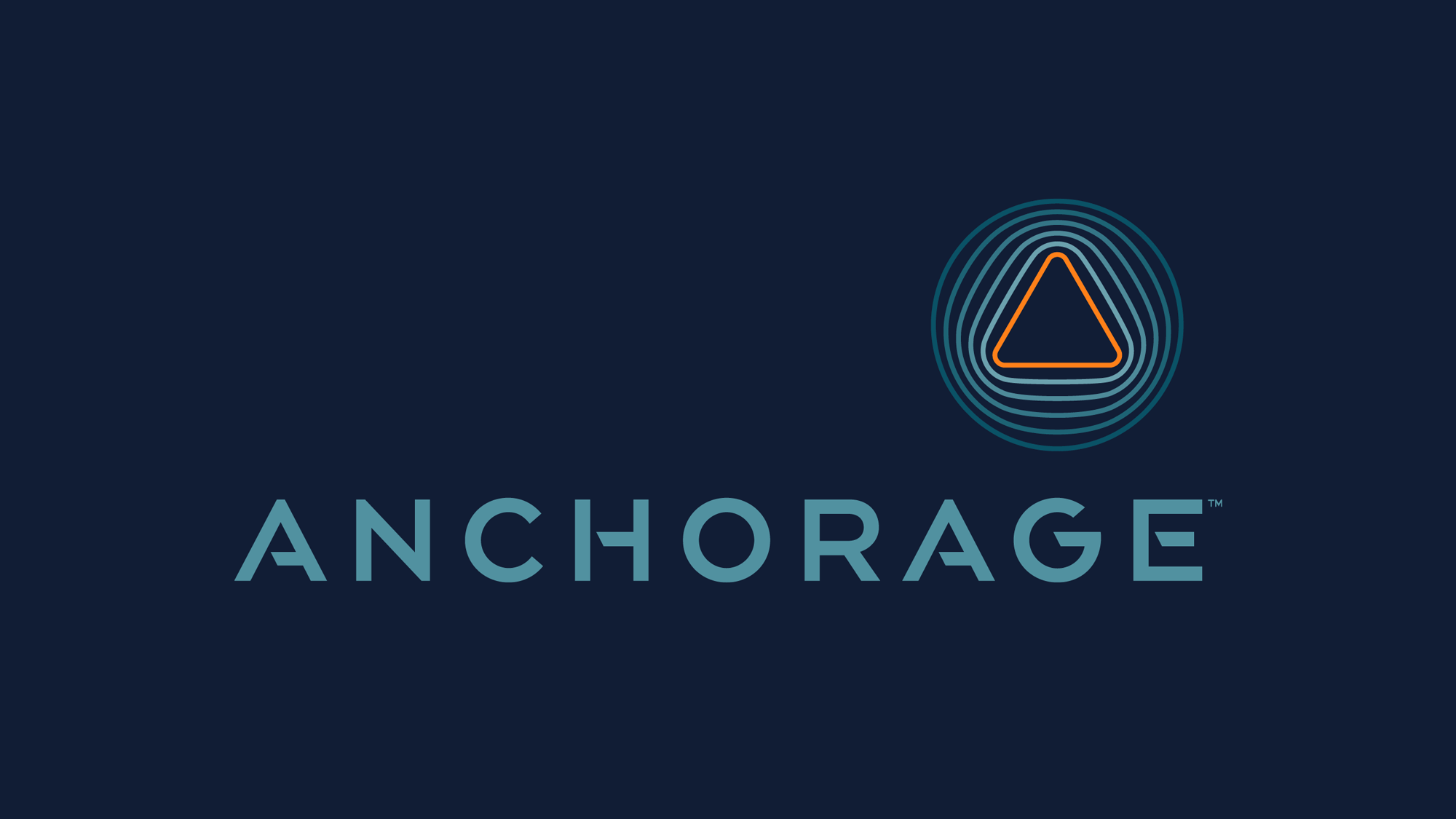 财务投资公司anchorage-银行_保险券商与基金_投资_公益及各类组织