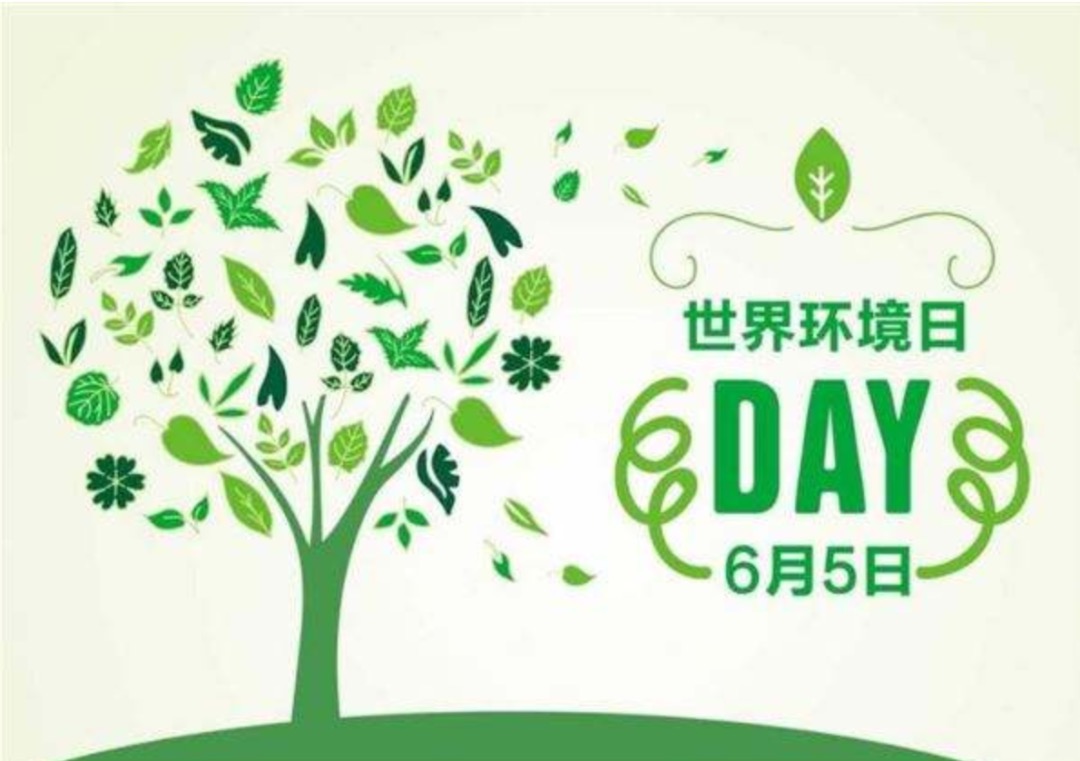 2020世界环境日:time for nature!