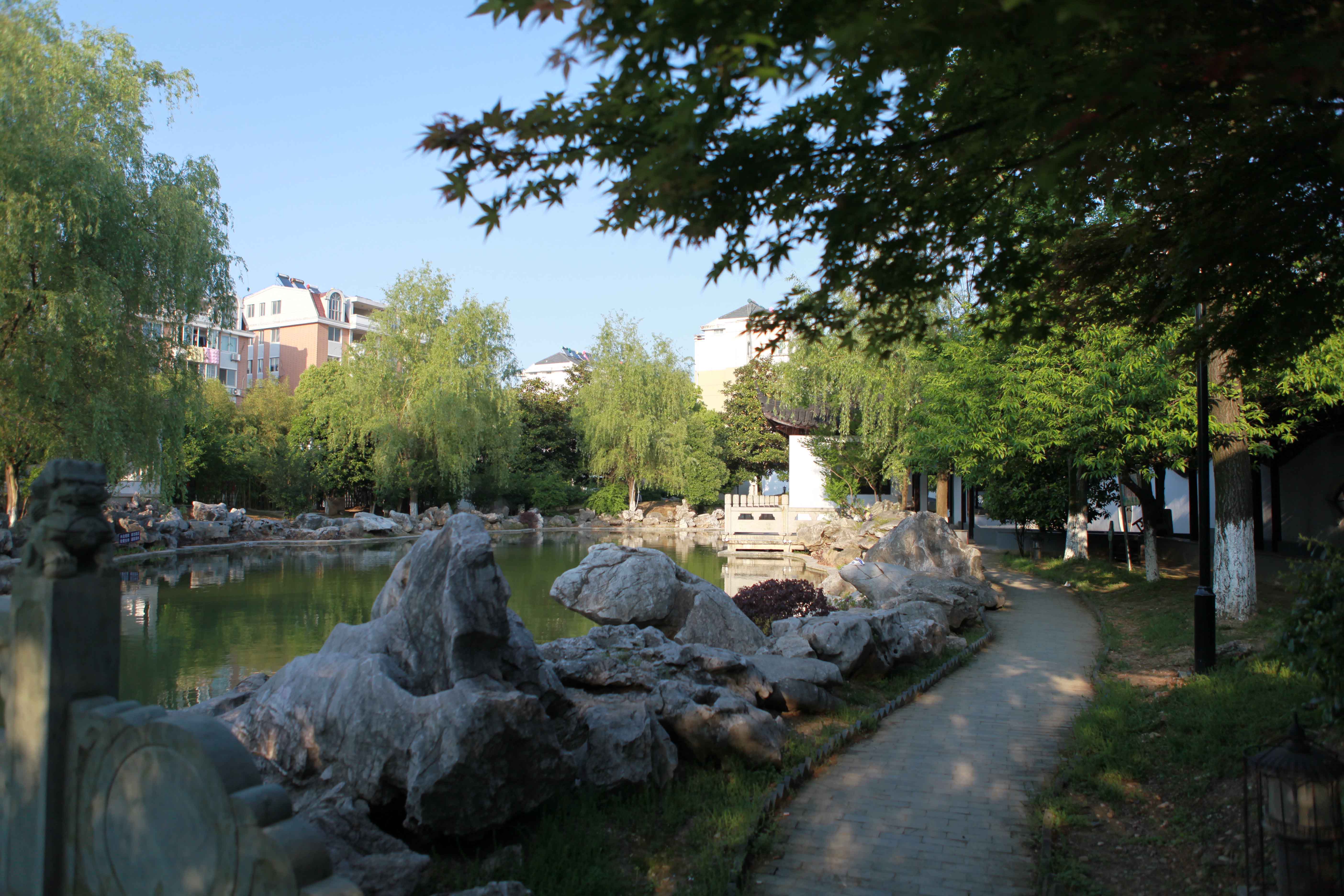 IMG_56432m.jpg