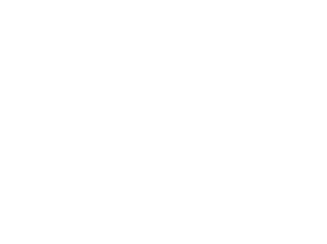 ARTING 365