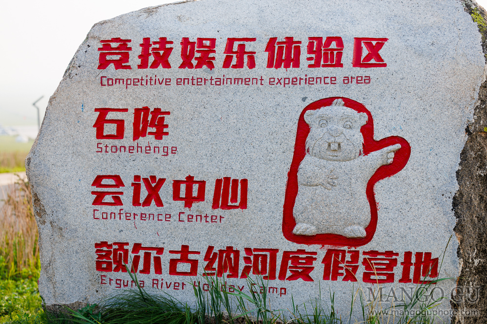 91.jpg
