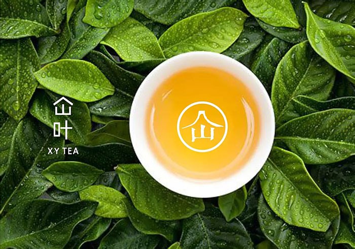 HY TEA Brand design