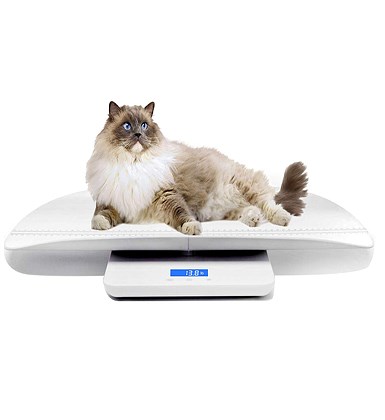 Large Digital Pet Scale Veterinary Animal Weight Pet Dog Cat