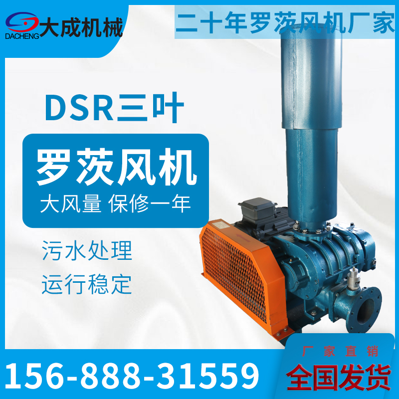DSR污水處理羅茨風機.jpg