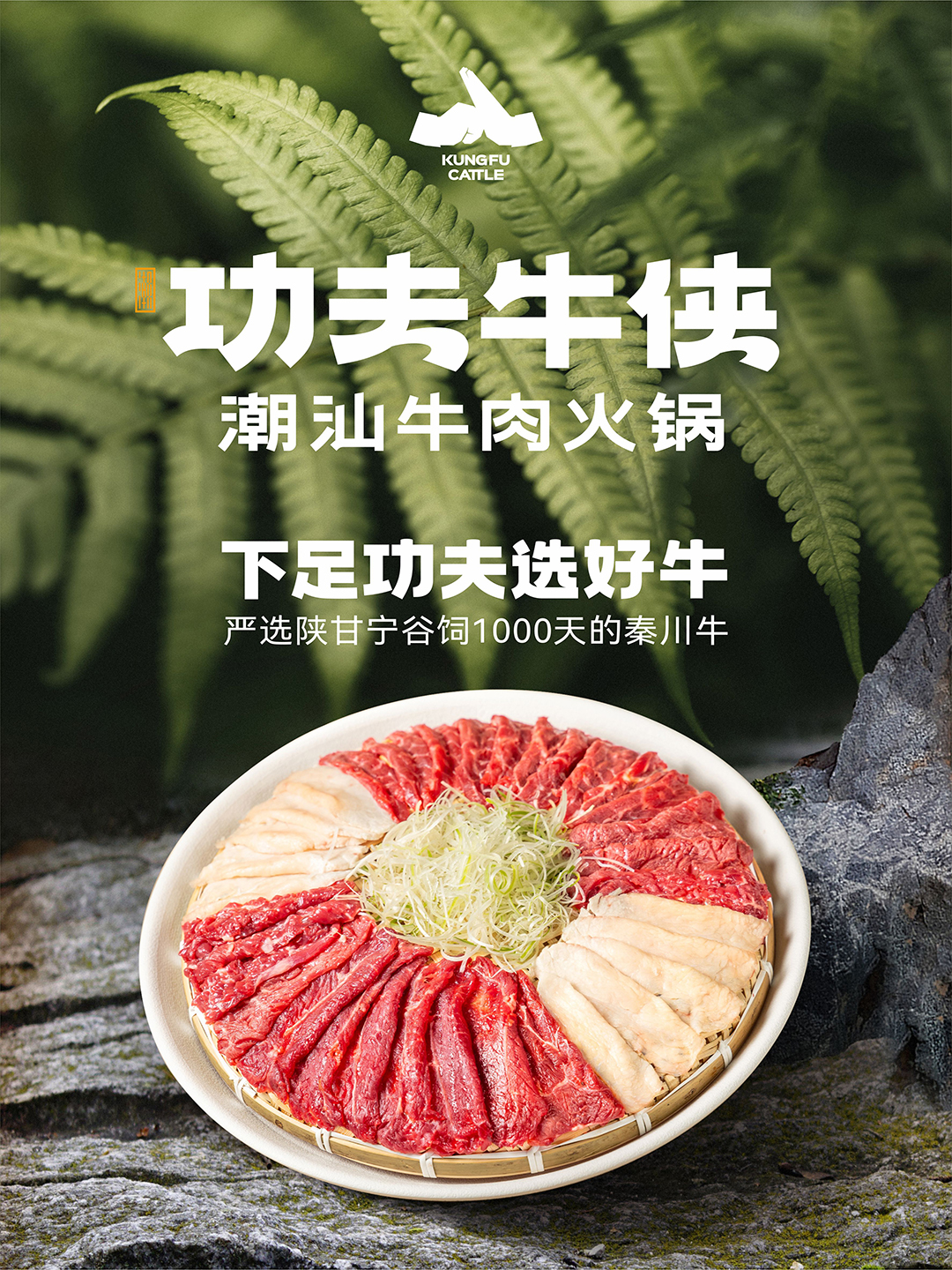 公众号01.jpg