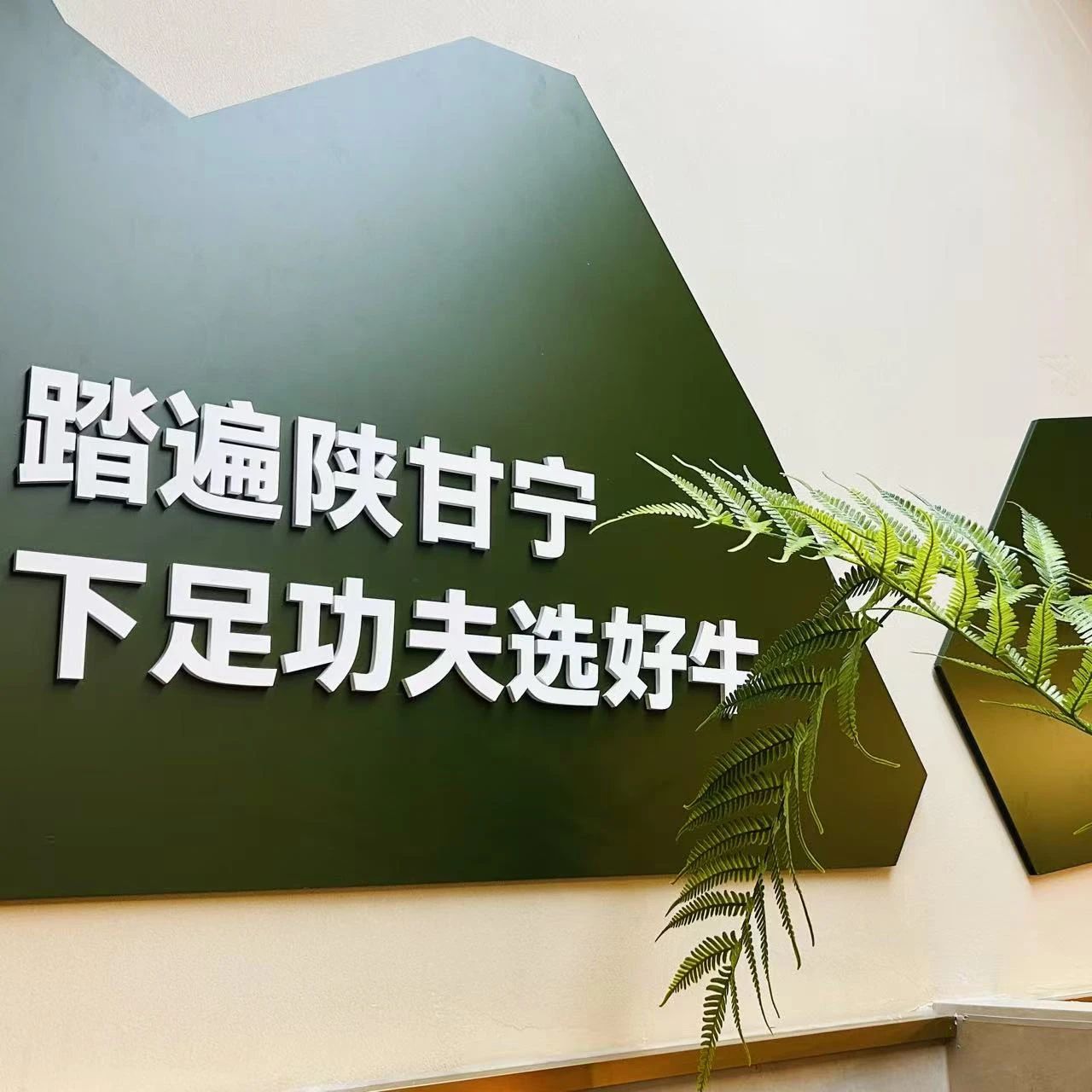 微信图片_20250703092938.jpg