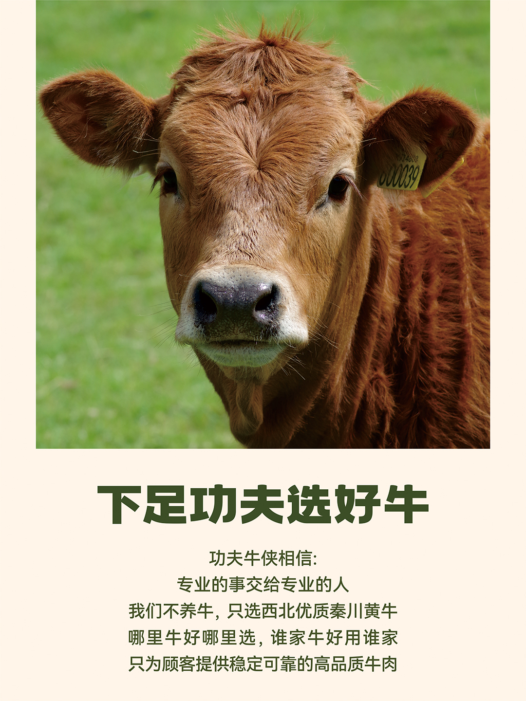 公众号04.jpg