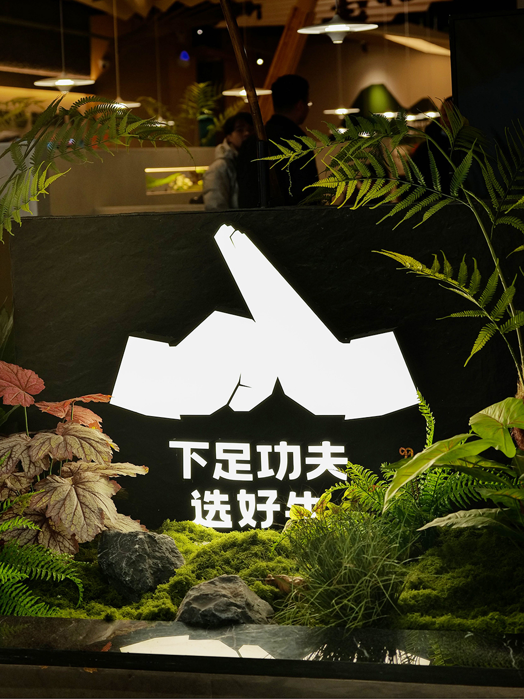 公众号22.jpg
