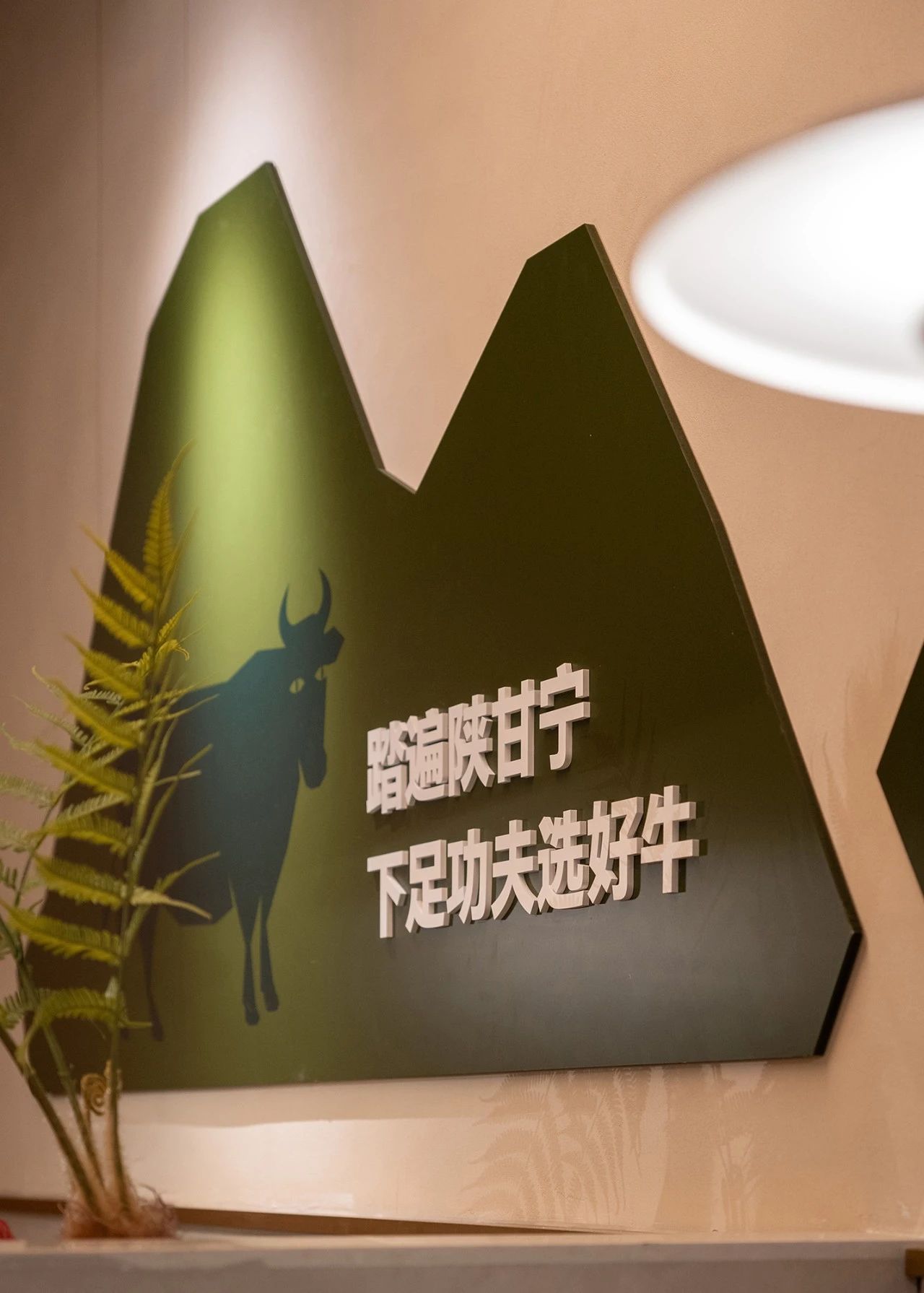 微信图片_20250703100230.jpg