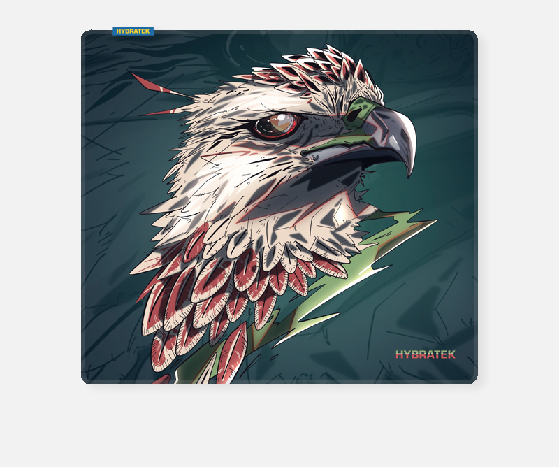HYBRATEK HPC-Goshawk